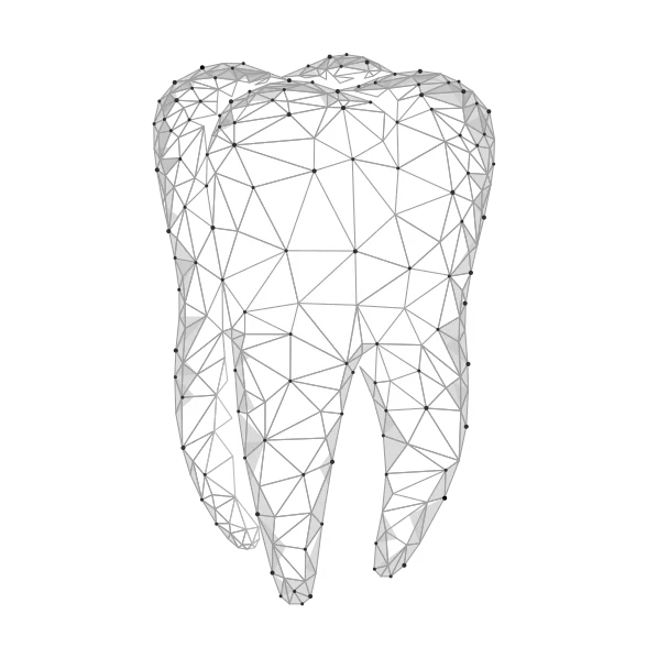 Tooth Illustration